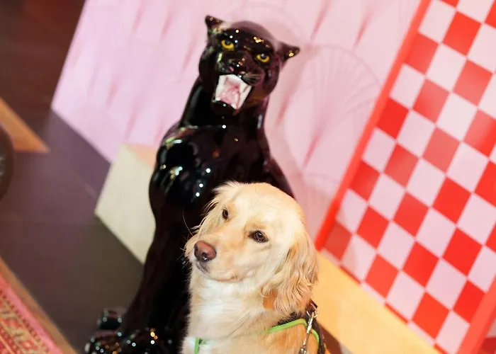 The Grand - Pop-up Self Check-in Ξενοδοχείο *