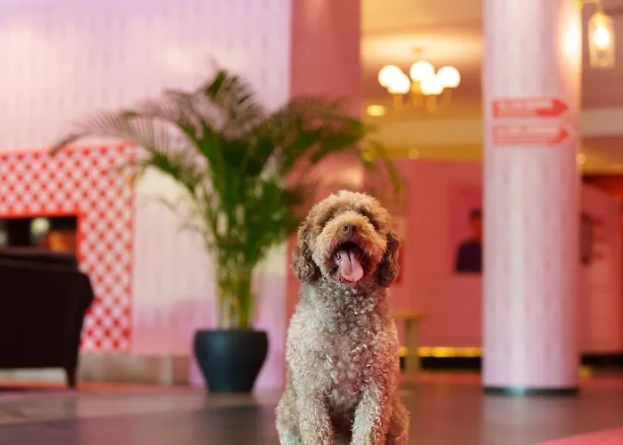 فندق The Grand - Pop-up Self Check-in *