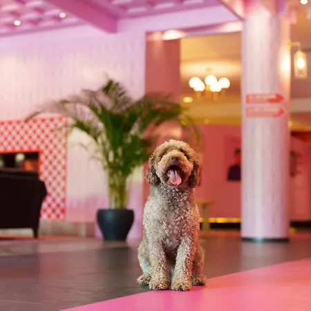 酒店 The Grand - Pop-up Self Check-in *