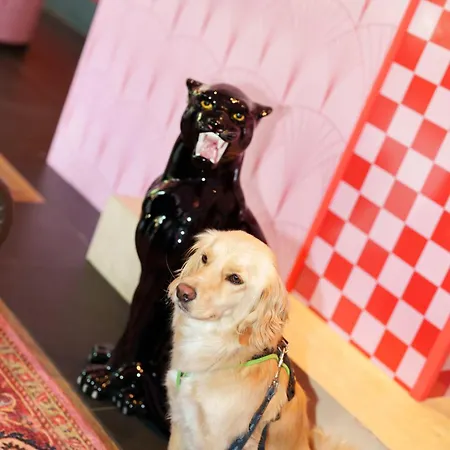 The Grand - Pop-up Self Check-in 酒店 *